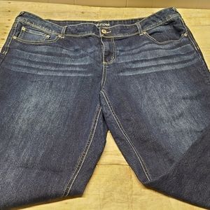 Maurices 24 short jeans